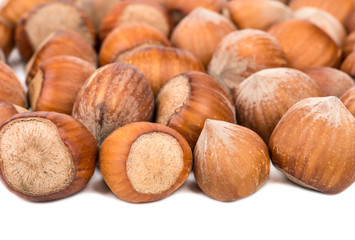 Hazelnuts in shell