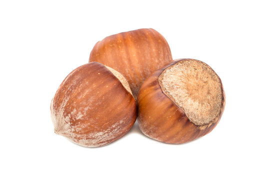 Three hazelnuts in shell