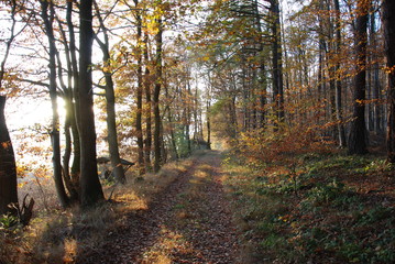 Bad Salzdetfurth