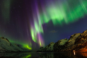 The polar lights in Norway . Ersfjord. Tromso