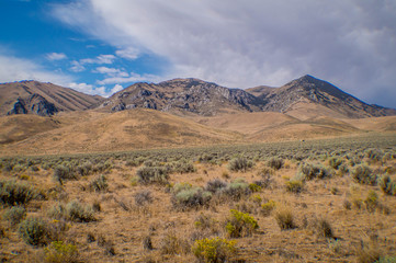 Northern Nevada Landscape
