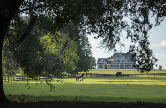 Estate home with horses grazing in pasture