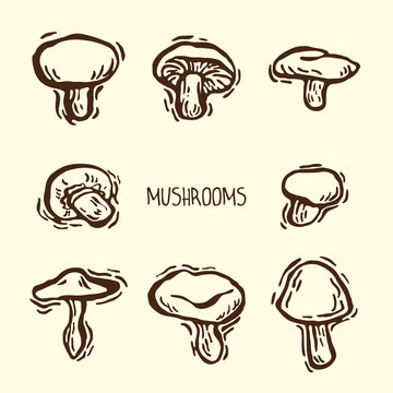 Decorative mushrooms