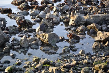 litorale sassoso in inverno