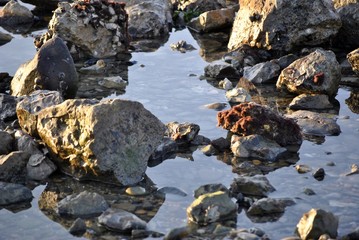 rocce nel mare in inverno con la bassa marea
