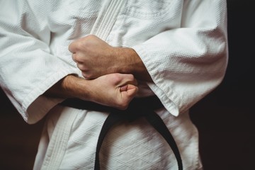 Karate player performing karate stance