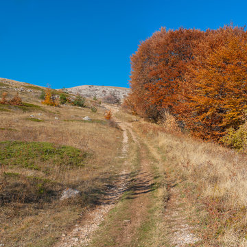 Autumnal landscape with rocky road leading to Babuhan Yaila natural reserve in Crimean peninsula