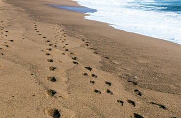 Footprints on Wet Textured Beach Sand