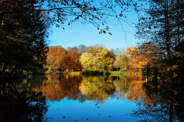 Colorful Tree Reflection