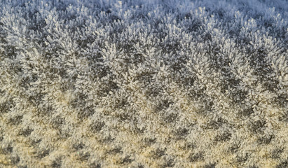 Background of a sheet of slate covered with frost
