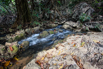 Beautiful view of waterfall landscape. Small waterfall in deep green forest scenery.
