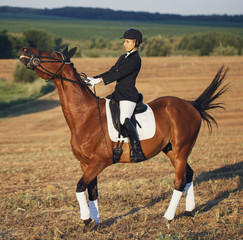 Beautiful elegance woman cowgirl, riding a horse. Has slim sport body. Portrait nature. People and animals. Equestrian.