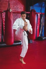 Karate player practicing karate stance