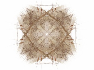 Abstract fractal with a brown pattern on a white background