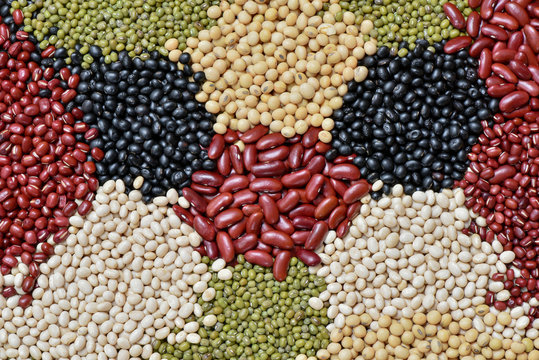 Various multicolor dried legumes beans for background