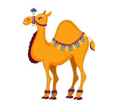 Dromedary. Decorated  cartoon camel. Vector illustration isolated on white background.