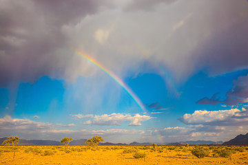 The rainbow over the desert