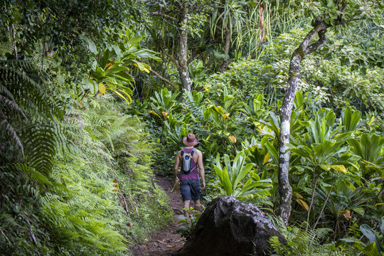 Hiking Kalaulau Trail On Kauai