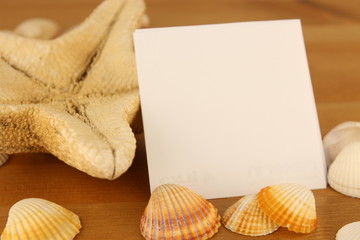 note paper encircled by shells and sea star