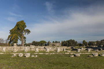 Fototapeta na wymiar Large view of Paestum archaeological site.