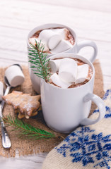 Hot chocolate with marshmallows and cookies