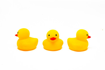 Yellow rubber ducks