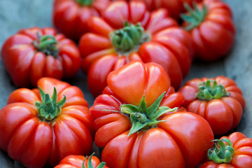 Large, bright red beef tomatoes sit in a large wooden bowl