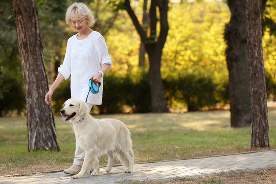 Senior Woman Walking With Dog In Park