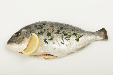 Raw fish with lemon and green prepared to be cooked. Horizontal studio shot