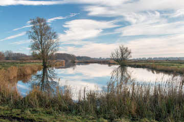 Fototapeta na wymiar twee bomen spiegelen in poldersloot onder blauwe hemel