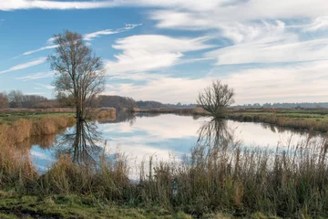 Fototapeten twee bomen spiegelen in poldersloot onder blauwe hemel © www.kiranphoto.nl