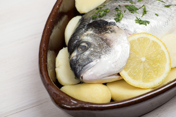 Close-up of a raw fish with lemon and green inside a casserole on a white wooden table prepared to be cooked. Horizontal studio shot