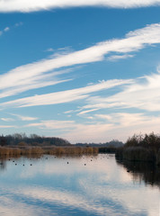 Blauwe wolkenhemel reflecteert in poldersloot