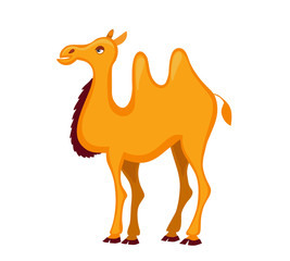 Illustration of cute  camel cartoon. Vector illustration isolated on white background.
