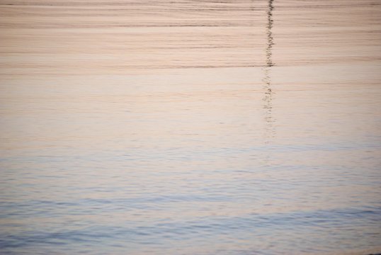 gabbiani sugli scogli in mare d'inverno
