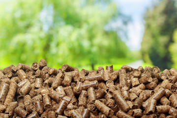 Wood pellets on a green background. Biofuels.