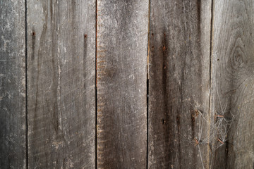 Old Wood Wall with Rusty Nails