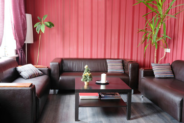 Interior of an empty visitor room in business center with skin furniture in it, green flowers,...