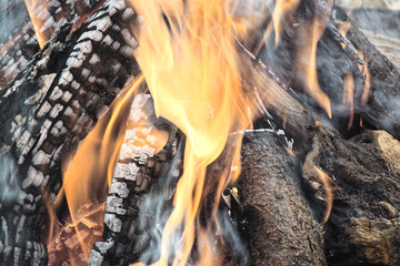 wooden logs burning generating orange flames and white smoke