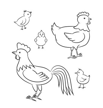 Outlined vector illustration of a funny chicken family.