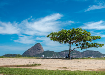 Silhouette of sitting man in the shadow of the green tree and Guanabara Bay at sunny day with...
