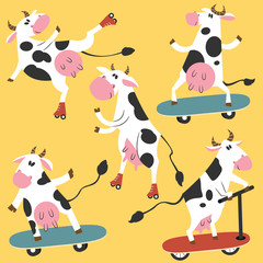 Funky cows on skates and kick scooters