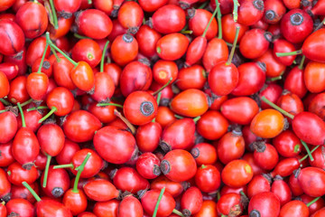 Много плодов шиповника на черном фоне