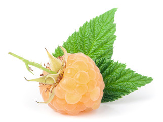 yellow raspberries with leaf isolated on white background macro