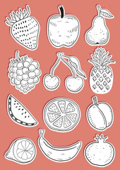 Hand Drawn Fruits