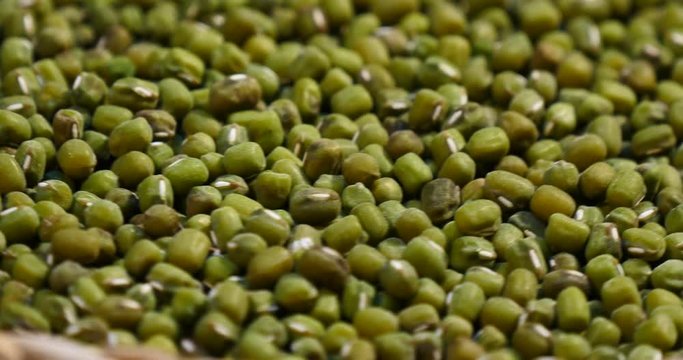 Turning on mung beans