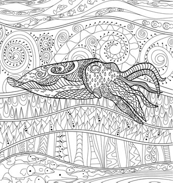 Cuttlefish with high details.