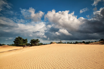 beautiful cloudy sky and sand dune