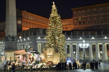 Albero di Natale in Vaticano 2016