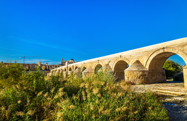 Roman Bridge above the Guadalquivir river in Cordoba, Spain